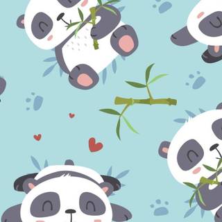 Panda 4k phone wallpaper
