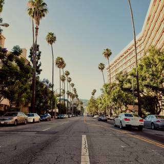 Beverly Hills 4k wallpaper