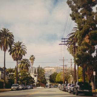 Beverly Hills 4k wallpaper