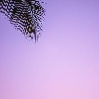 Relaxing phone wallpaper