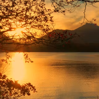 Relaxing phone wallpaper