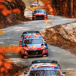 WRC iPhone wallpaper