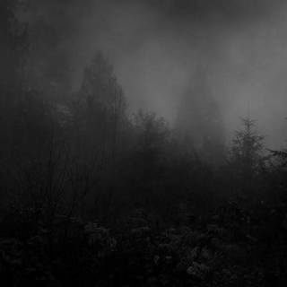 Depressed PC wallpaper