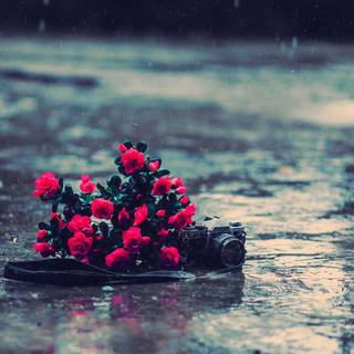 Rain laptop wallpaper