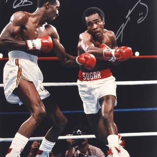 Thomas Hearns wallpaper