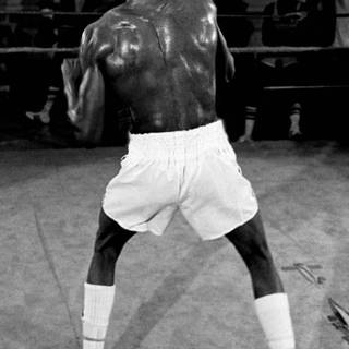 Thomas Hearns wallpaper