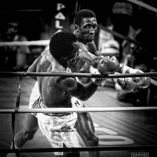 Thomas Hearns wallpaper