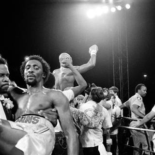 Thomas Hearns wallpaper