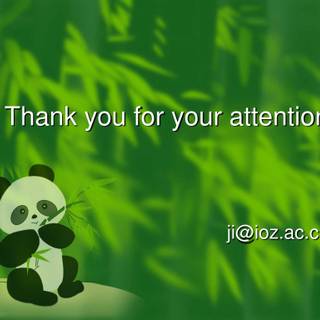 Thank You For Your Attention wallpaper