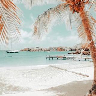 Boho beach wallpaper