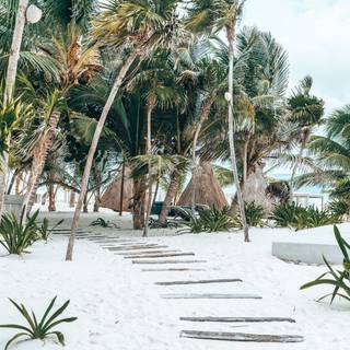 Boho beach wallpaper