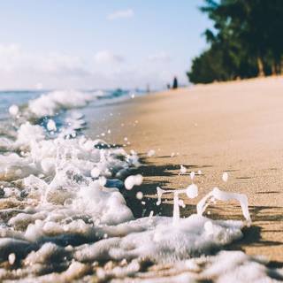 Boho beach wallpaper