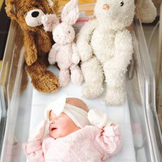 Baby birth wallpaper