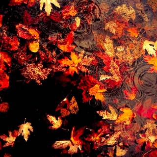 Dark autumn art wallpaper