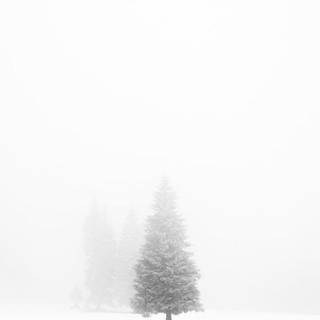 Winter minimalism aesthetic wallpaper