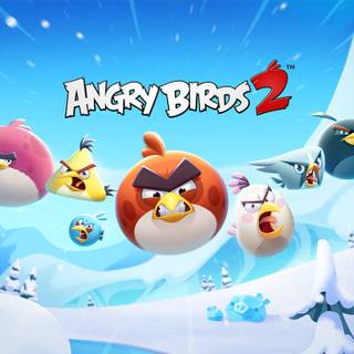 Angry Bird winter wallpaper
