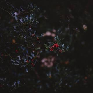 Dark autumn art wallpaper