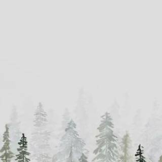 Winter minimalism aesthetic wallpaper