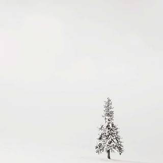 Winter minimalism aesthetic wallpaper