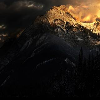 Desktop dark winter wallpaper