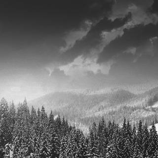 Dark 4k winter desktop wallpaper