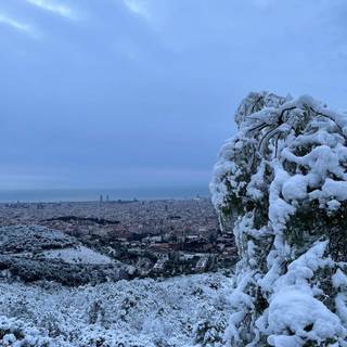 Winter Barcelona wallpaper