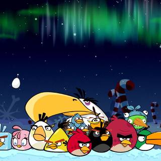 Angry Bird winter wallpaper
