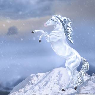 Winter horse iPad wallpaper