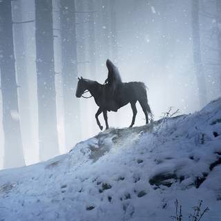 Winter horse laptop wallpaper