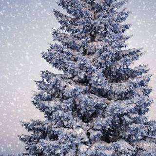 Samsung Christmas wallpaper