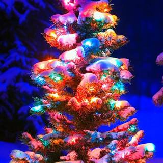 Christmas tree and snow wallpaper