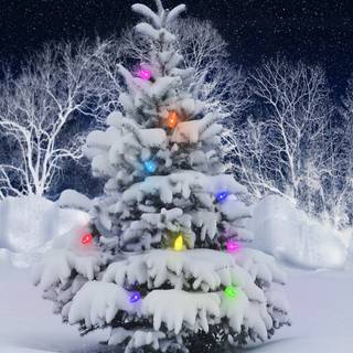 Christmas tree and snow wallpaper