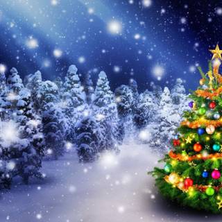 Christmas tree and snow wallpaper