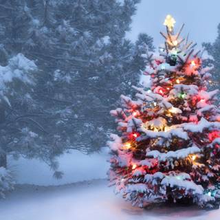 Christmas tree and snow wallpaper