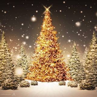 Christmas tree and snow wallpaper