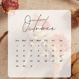 Aesthetic 2024 wallpaper