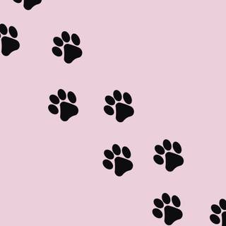 Aesthetic 2024 wallpaper