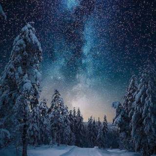 Night sky winter wallpaper