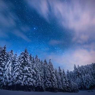 Night sky winter wallpaper