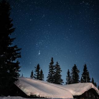 Night sky winter wallpaper