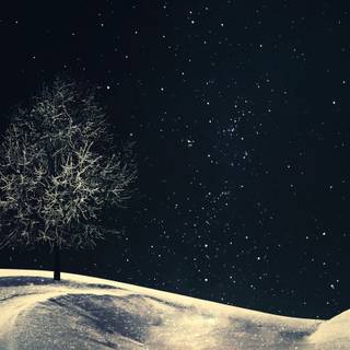 Night sky winter wallpaper