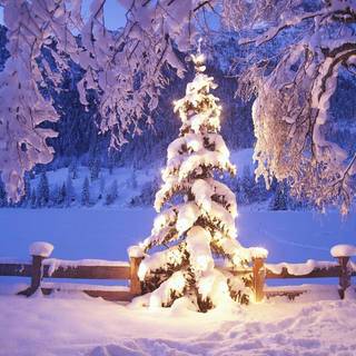 Christmas winter landscape wallpaper