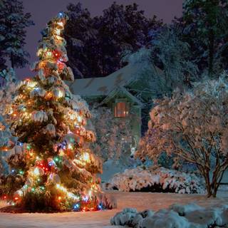 Christmas winter tree wallpaper