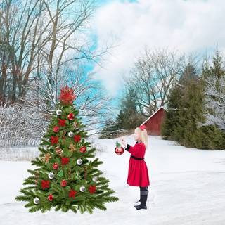 Christmas winter tree wallpaper