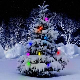 Christmas winter tree wallpaper