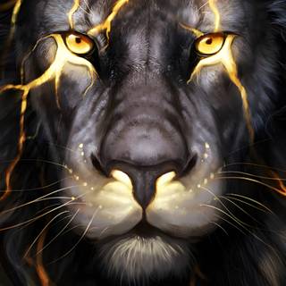 Lion black Android wallpaper