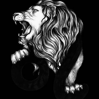 Lion black Android wallpaper