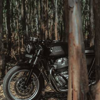 Royal Enfield GT 4k wallpaper