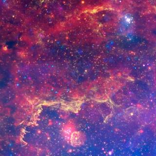 Cosmos iPhone wallpaper