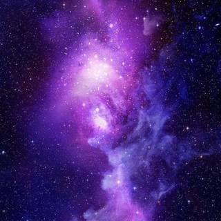 Cosmos iPhone wallpaper